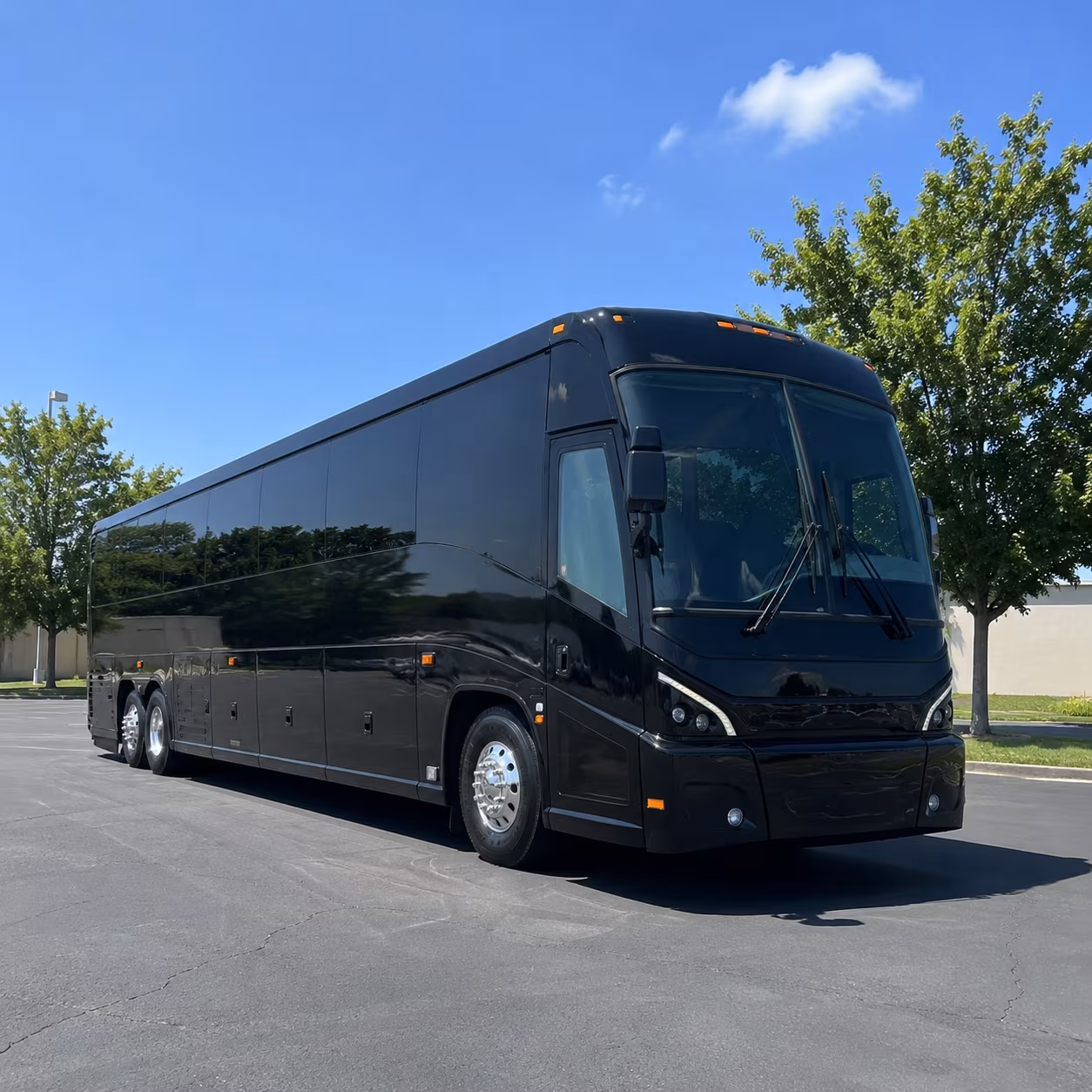 charter buses and minibuses ready for memphis zoo field trips from bartlett