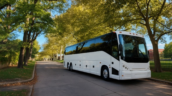 bartlett prom and homecoming party bus rentals